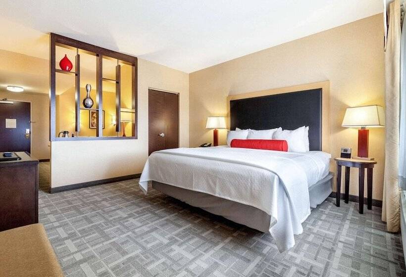 سوئیت برای معلولان, Cambria Hotel Pittsburgh   Downtown