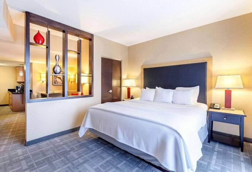 سوییت, Cambria Hotel Pittsburgh   Downtown