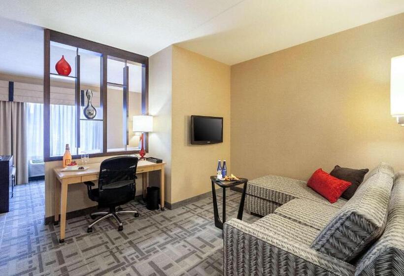 سوئیت با تخت بزرگ, Cambria Hotel Pittsburgh   Downtown