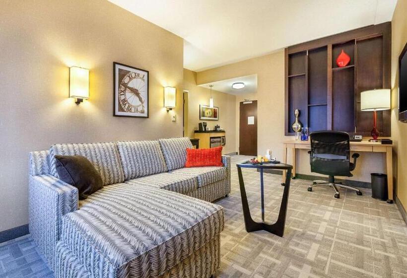سوئیت با تخت بزرگ, Cambria Hotel Pittsburgh   Downtown