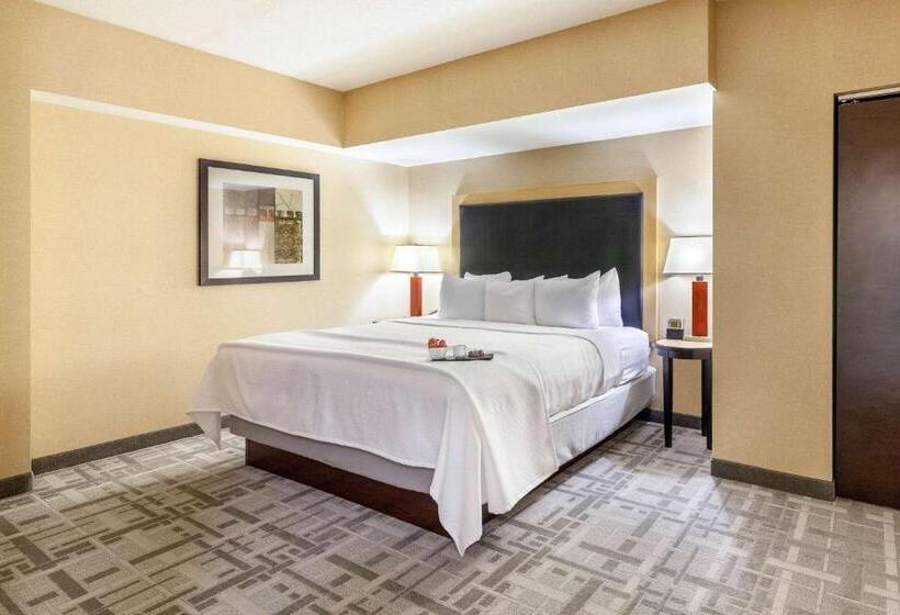 سوئیت با تخت بزرگ, Cambria Hotel Pittsburgh   Downtown