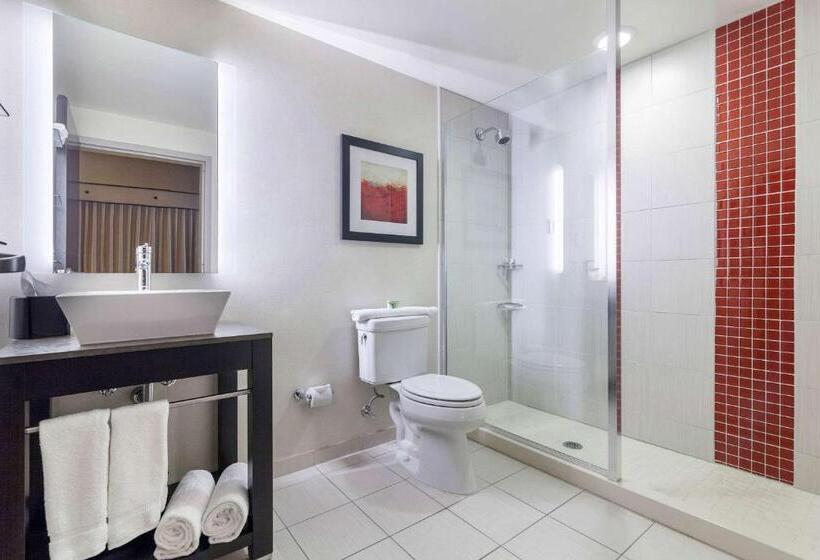 اتاق استاندارد با تخت بزرگ, Cambria Hotel Pittsburgh   Downtown