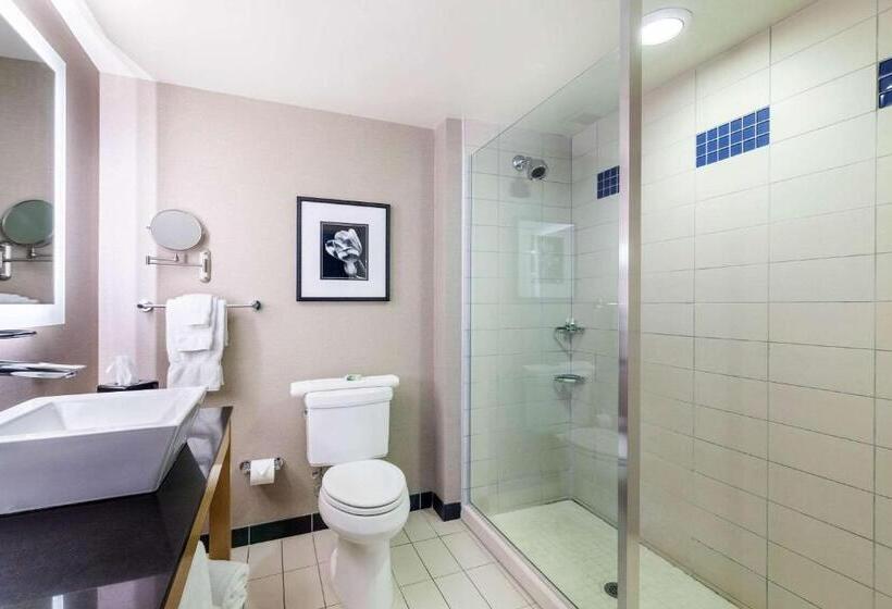اتاق استاندارد با تخت بزرگ, Cambria Hotel Pittsburgh   Downtown