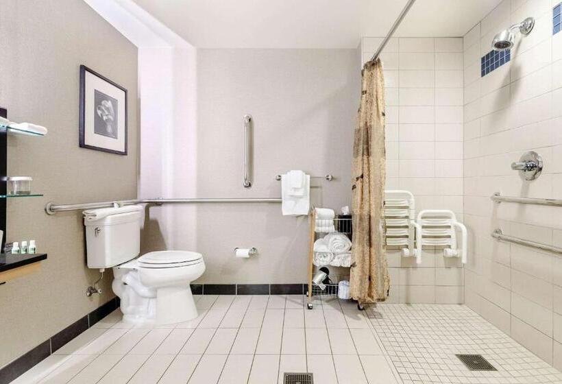 اتاق استاندارد با تخت بزرگ برای معلولان, Cambria Hotel Pittsburgh   Downtown
