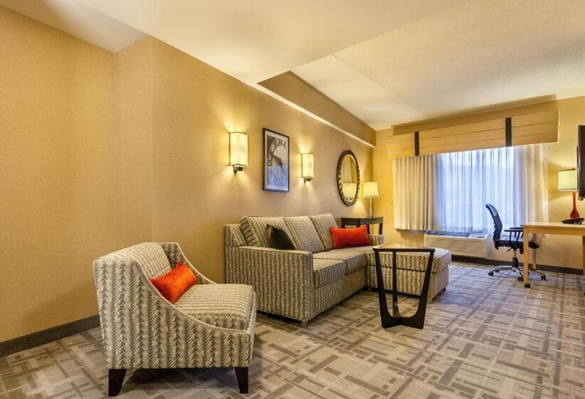 اتاق استاندارد با تخت بزرگ برای معلولان, Cambria Hotel Pittsburgh   Downtown