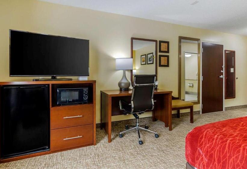 스탠다드 룸 킹사이즈 침대, Comfort Inn & Suites Hillsville I77