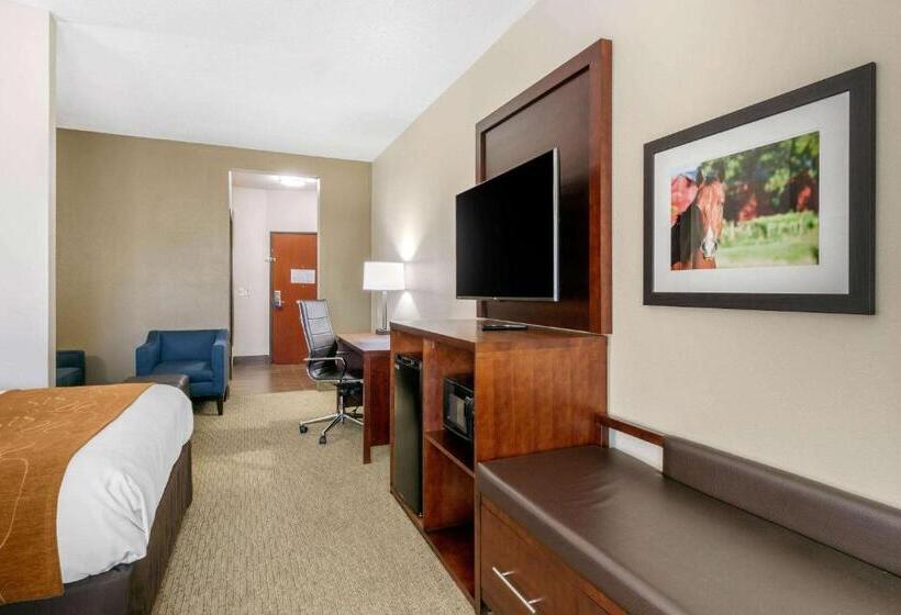 חדר סטנדרט עם מיטת קינג, Comfort Suites Hopkinsville Near Fort Campbell