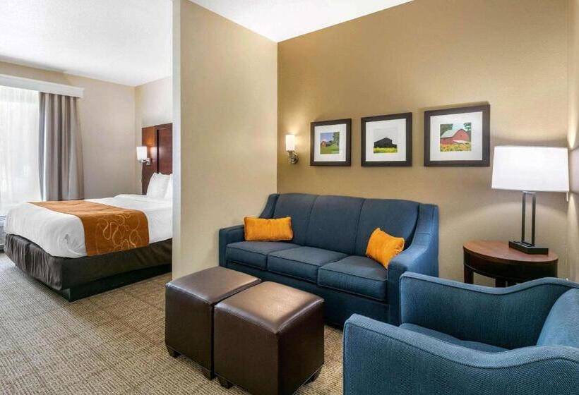סוויטת אקזקיוטיב, עם מיטת קינג, Comfort Suites Hopkinsville Near Fort Campbell
