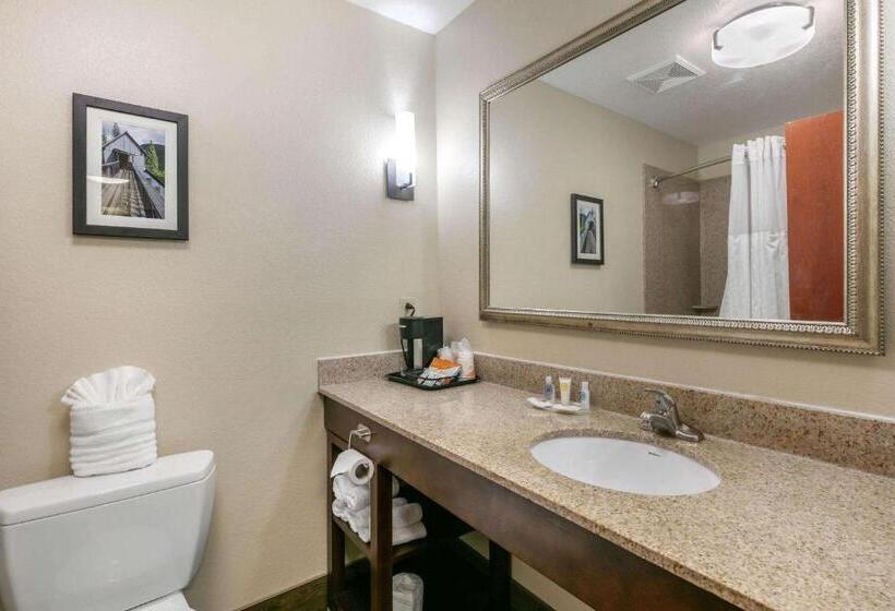 סוויטת סופריור, Comfort Suites Hopkinsville Near Fort Campbell