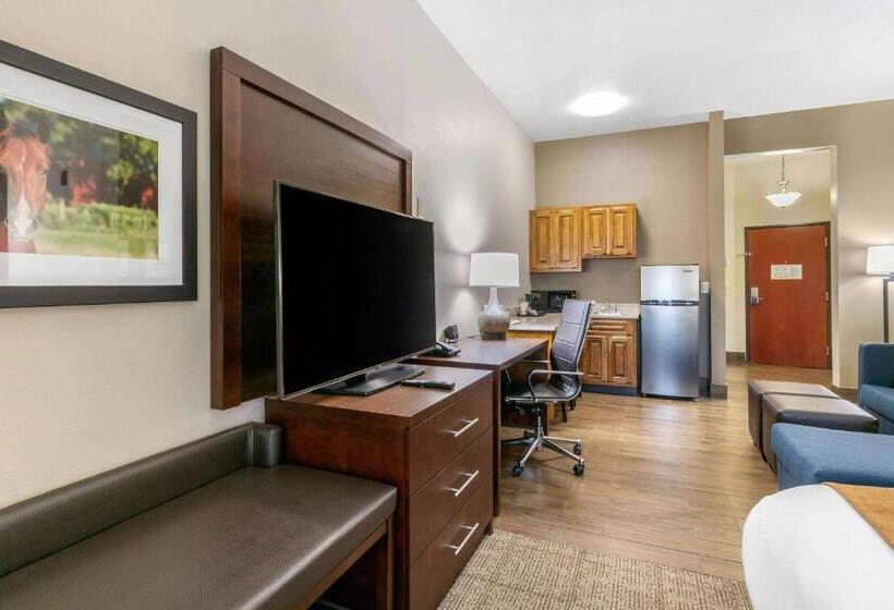 סוויטת סופריור, Comfort Suites Hopkinsville Near Fort Campbell