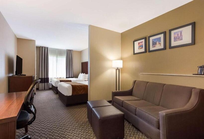 Номер Стандарт, Comfort Suites North Mobile