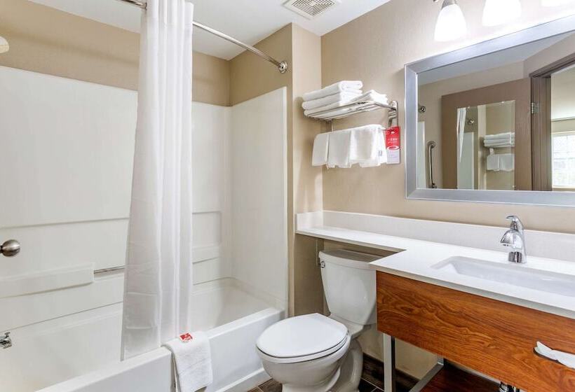 带2个双人床的标准工作室, Econo Lodge Inn & Suites