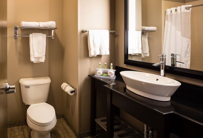 Люкс, Holiday Inn Express Hotel & Suites El Reno By Ihg