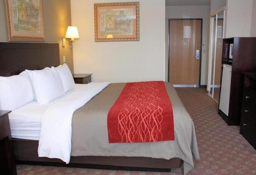 스탠다드 룸 킹사이즈 침대, Quality Inn