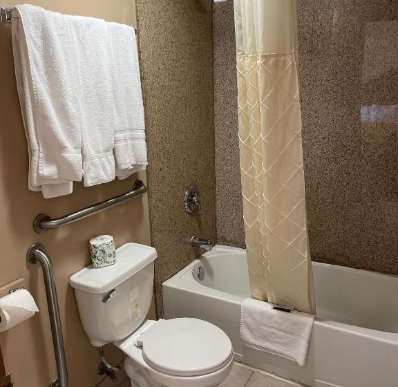 Номер Стандарт 2 Двуспальные Кровати, Riverton Inn & Suites