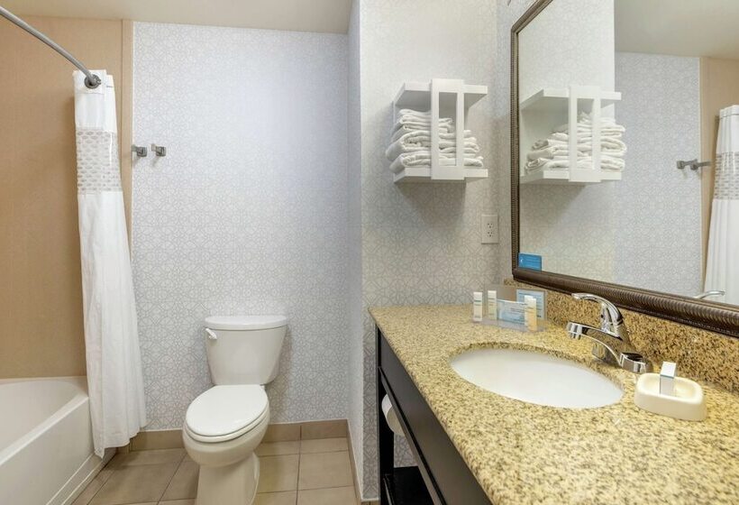 Standardrum, Hampton Inn Alamosa, Co