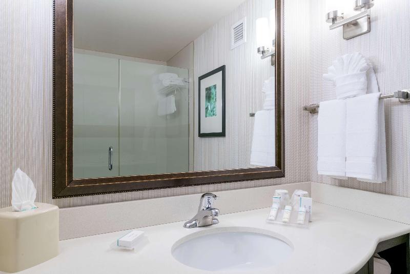 Стандартный Номер Кровать Кинг, Hilton Garden Inn Valley Forge/oaks