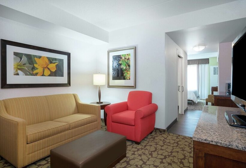 Полулюкс, Hilton Garden Inn Valley Forge/oaks