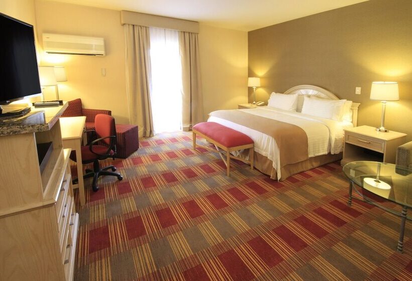 スタンダードルーム, Holiday Inn Monclova, An Ihg