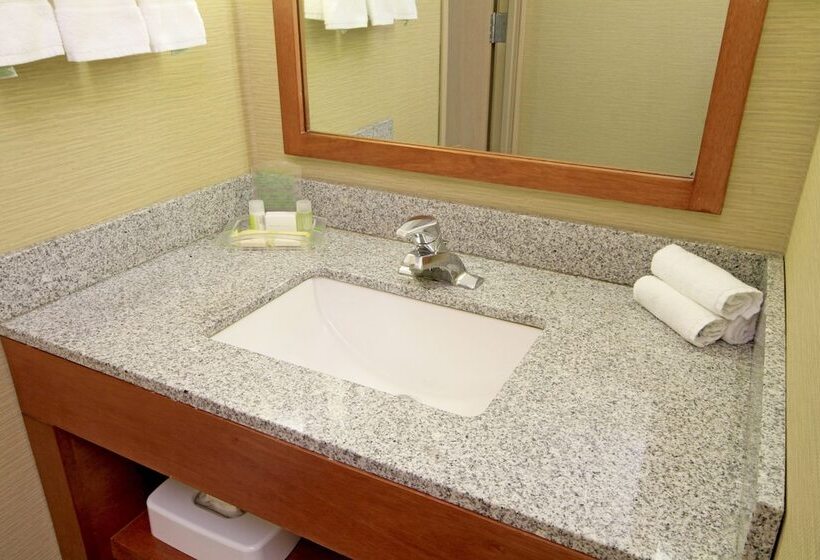 ２ダブルベッドのスタンダードルーム, Holiday Inn Monclova, An Ihg