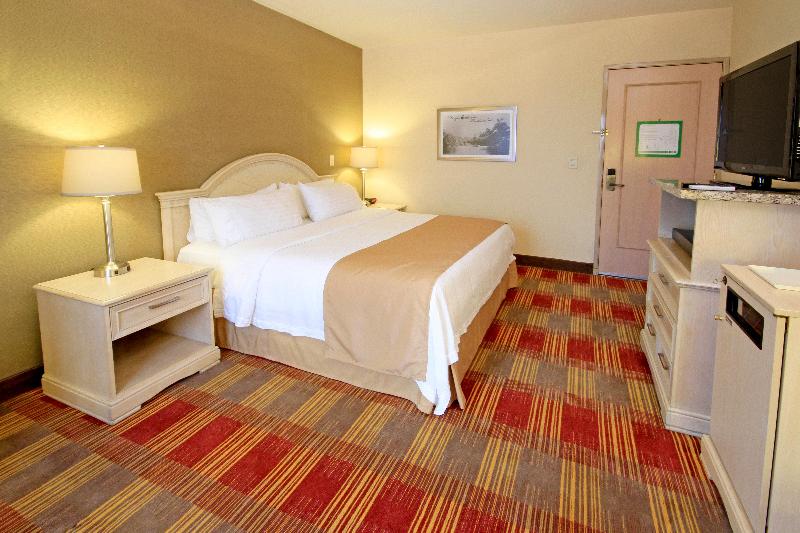 キングサイズベッドのスタンダードルーム, Holiday Inn Monclova, An Ihg