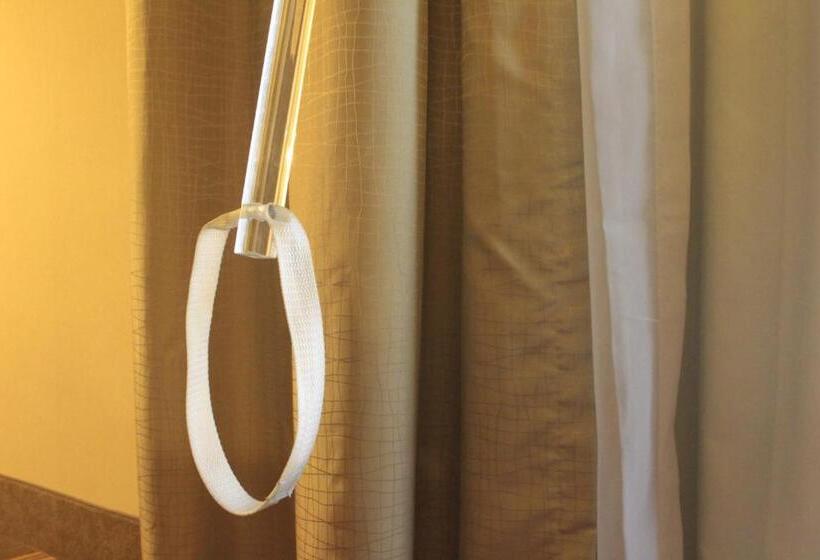 身障者適用スタンダードルーム, Holiday Inn Monclova, An Ihg