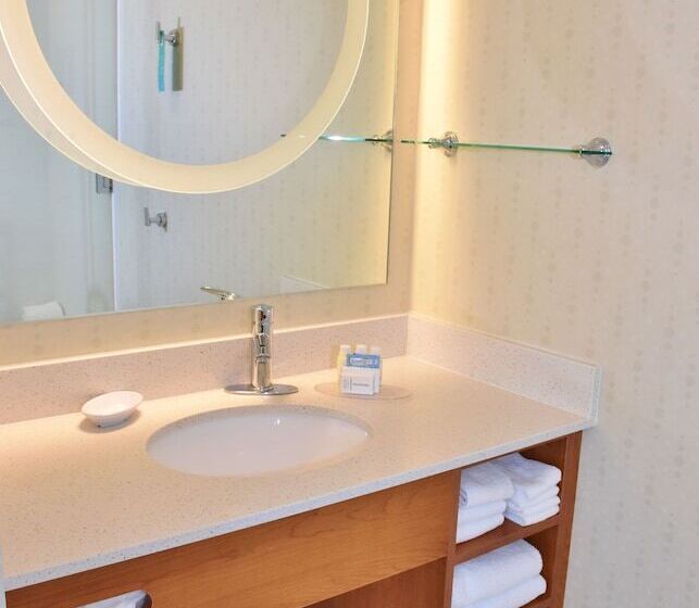 Люкс, Springhill Suites By Marriott Grand Junction Downtown/historic Main Street