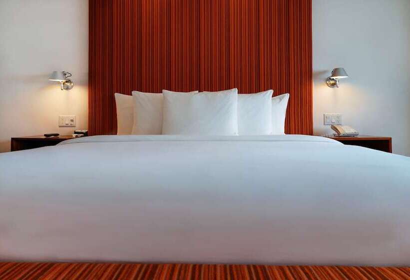 豪华房间, The Tony Hotel South Beach
