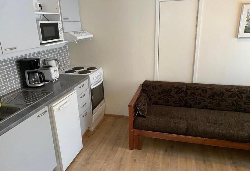 침실 1개 아파트, Aakenus Apartments