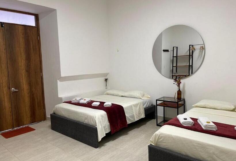 Номер Стандарт, Terramonti House