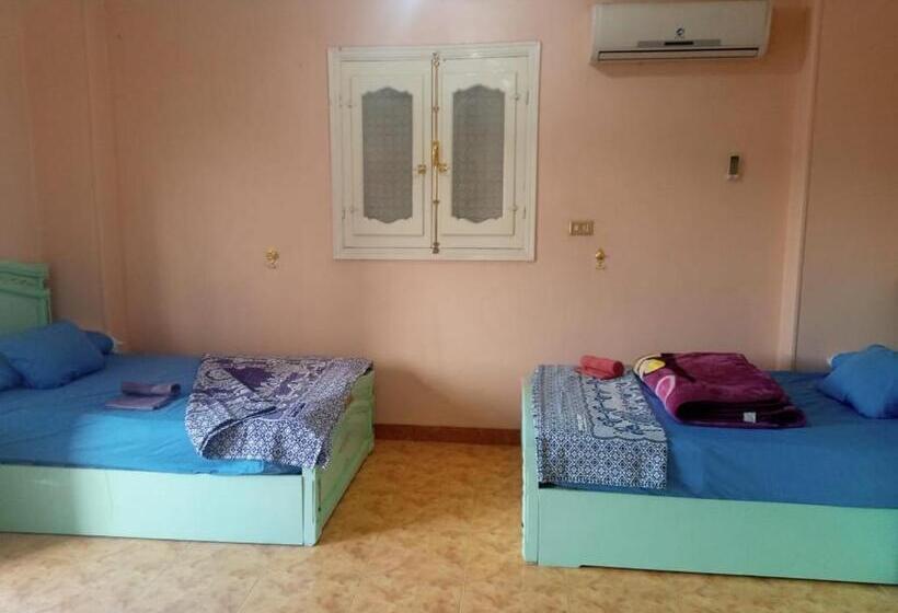 اتاق اکونومی, Go Inn Backpackers