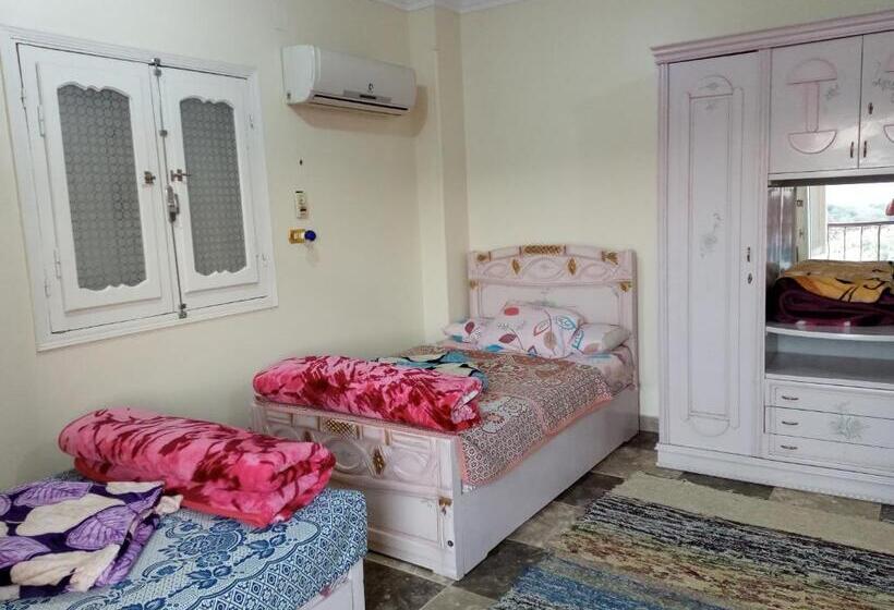 اتاق استاندارد چهارنفره با بالکن, Go Inn Backpackers