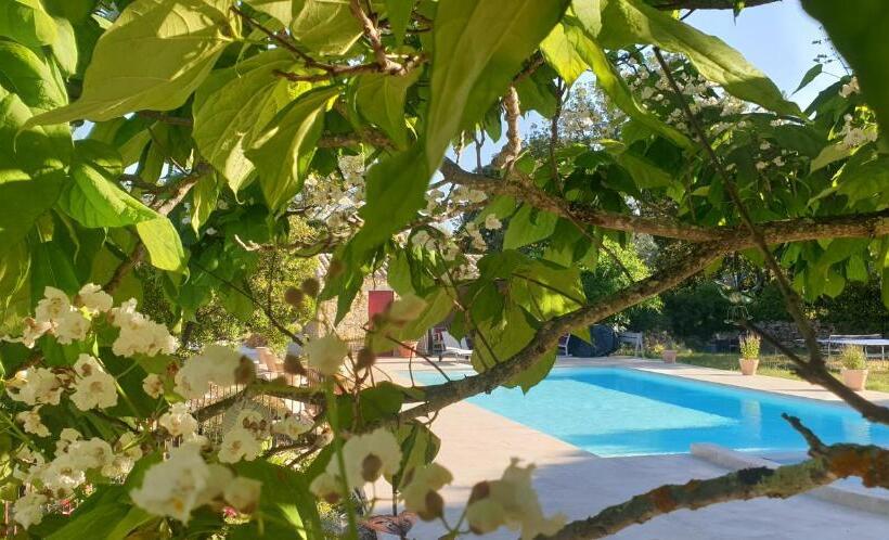 Номер Стандарт с Гидромассажем, Mas Des Rochers   Romance Tropicale