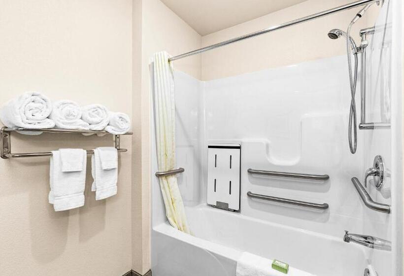 Студия Стандарт, Cobblestone Hotel & Suites International Falls