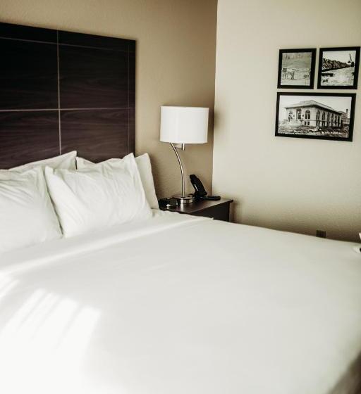 חדר סטנדרט עם מיטת קינג, Cobblestone Hotel & Suites International Falls