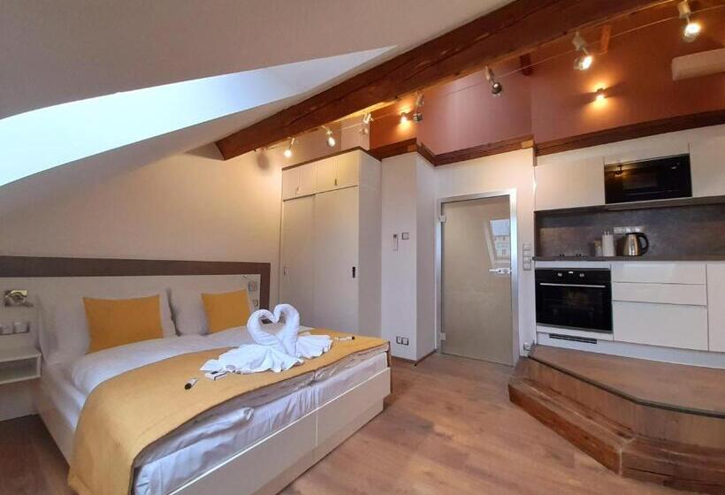 스탠다드 스튜디오 킹침대, Residence Mariánská