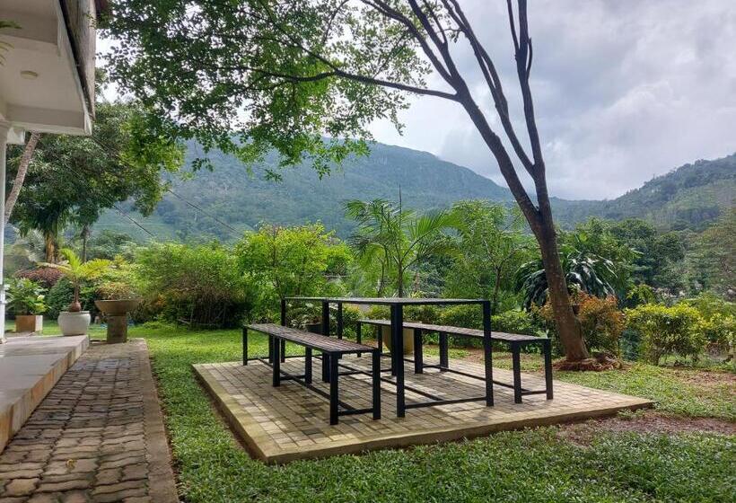 标准间, Sanctuary