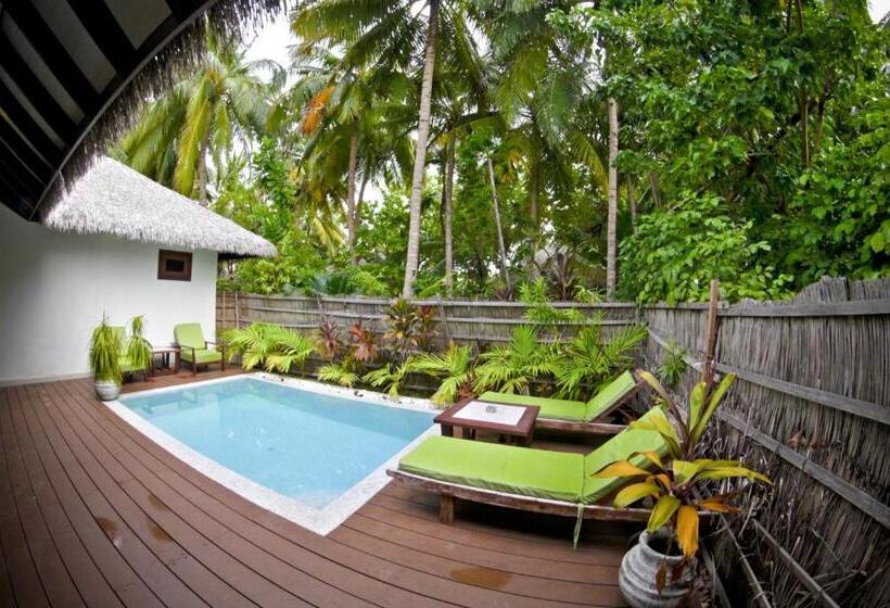 ویلای یک اتاق خوابه با استخر شنا, Kihaa Maldives