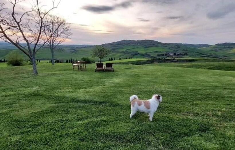 Апартаменты 1 Спальня с Видом, Agriturismo Barbi