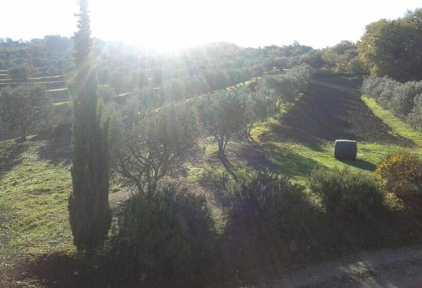Апартаменты 1 Спальня Вид на Сад, Agriturismo Barbi