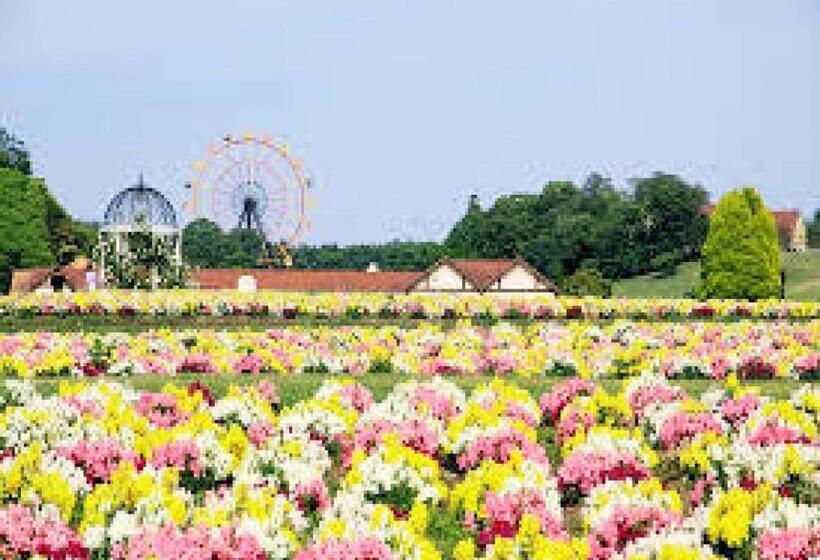 Студия Стандарт, Royal Garden Kisarazu / Vacation Stay 72215