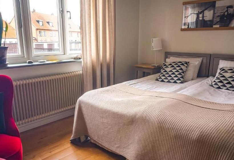 اتاق استاندارد با چشم‌انداز شهر, Maritim Hotell & Krog