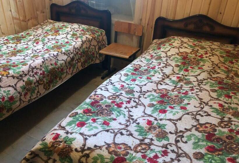 اتاق اکونومی, Guesthouse Svani