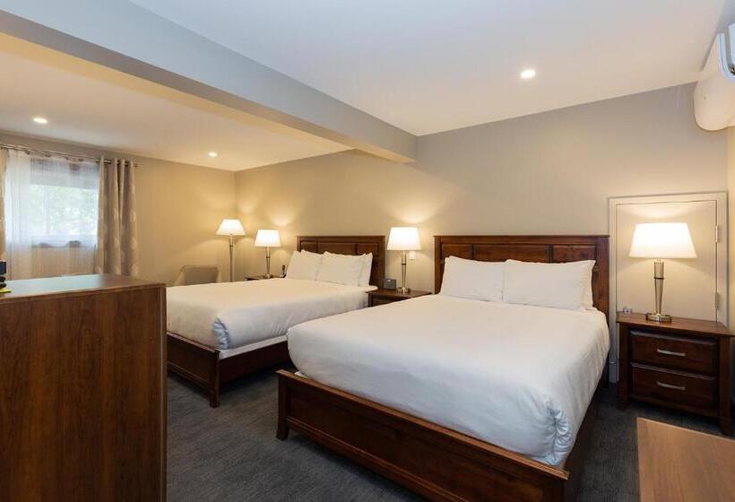 Номер Стандарт 2 Двуспальные Кровати, Motel Au Vieux Piloteux