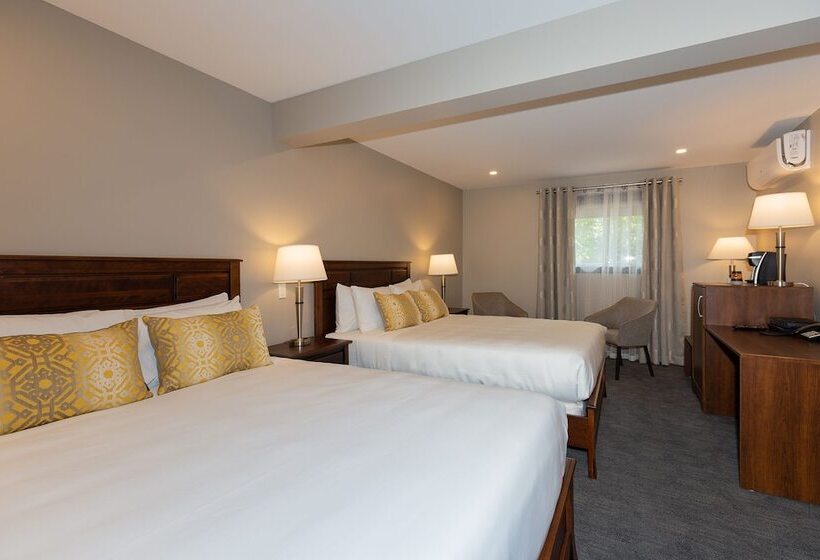 Номер Стандарт 2 Двуспальные Кровати, Motel Au Vieux Piloteux