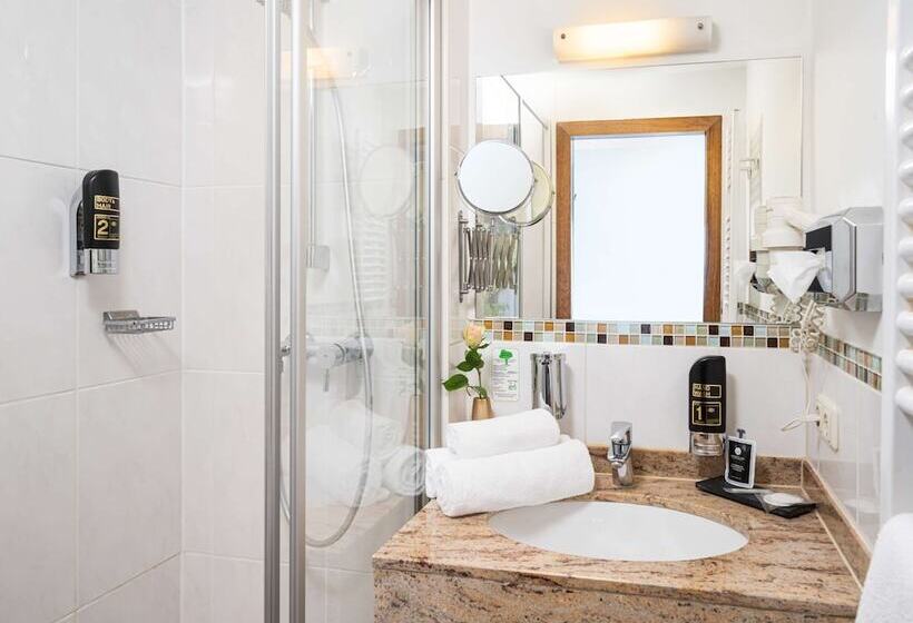اتاق استاندارد, Arthotel Ana Gold