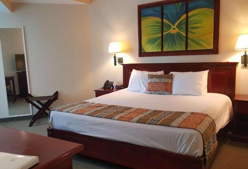 キングサイズベッドのスイートルーム, Best Western Bazarell Inn