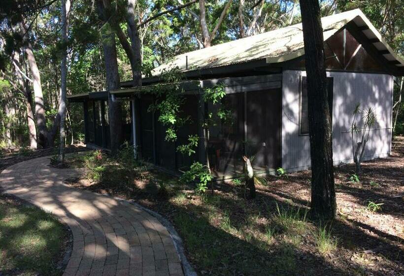 Хижина, Byron Bay Rainforest Resort