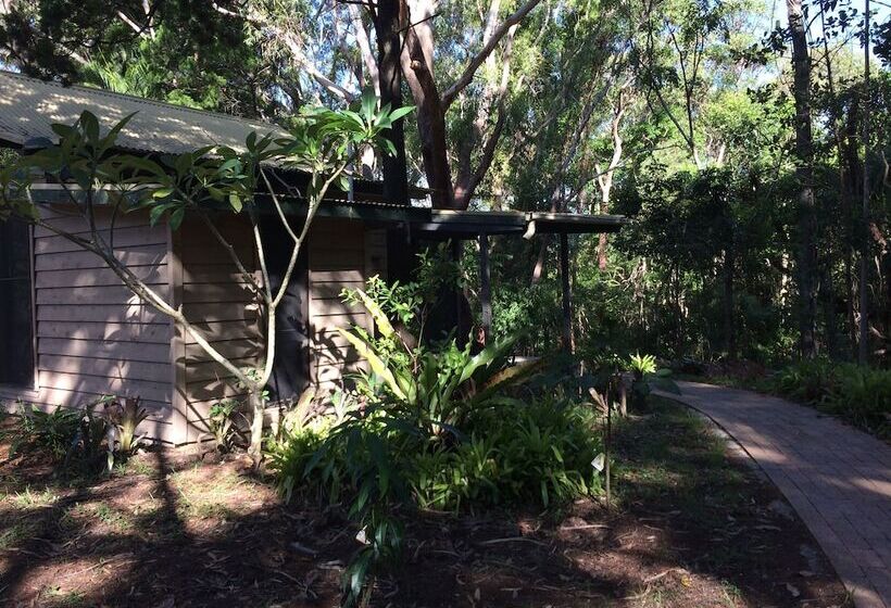 Хижина, Byron Bay Rainforest Resort