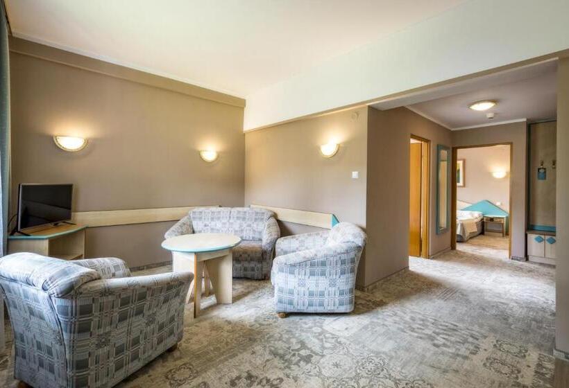 Апартаменты 2 Спальни, Geovita Zakopane